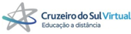 Cruzeiro do Sul Virtual 